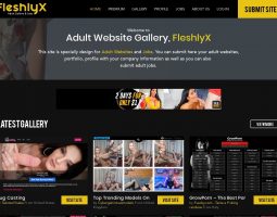 Best Porn Collection review, a site that is one of many popular Porn Directories