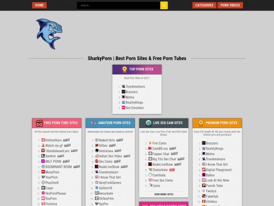 Best Porn Sites -arvostelu, sivusto, joka on yksi monista suosituista pornohakemistoista