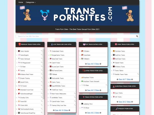 TransPornSites incelemesi, birçok popüler Trans Porno Sitesinden biri olan bir site