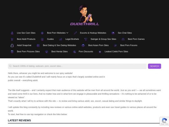 DudeThrill 评论，该网站是许多流行的色情博客之一