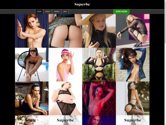 Revisión de SuperbeModels, un sitio que es uno de los muchos sitios populares de imágenes porno premium