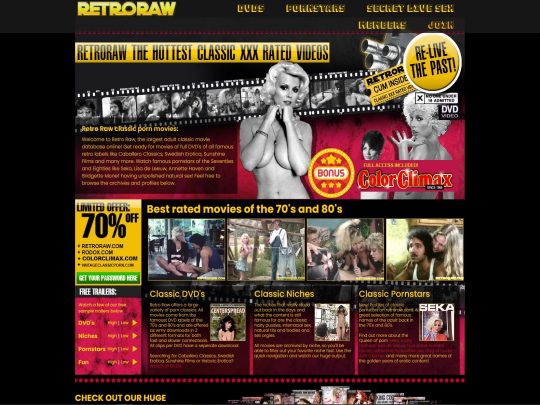 RetroRaw review, a site that is one of many popular Premium Vintage Porn