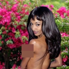 Crystal Knight a top pornstar read their bio and more