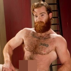 James Jamesson a top pornstar read their bio and more