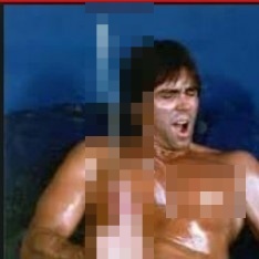 Peter North a top pornstar read their bio and more