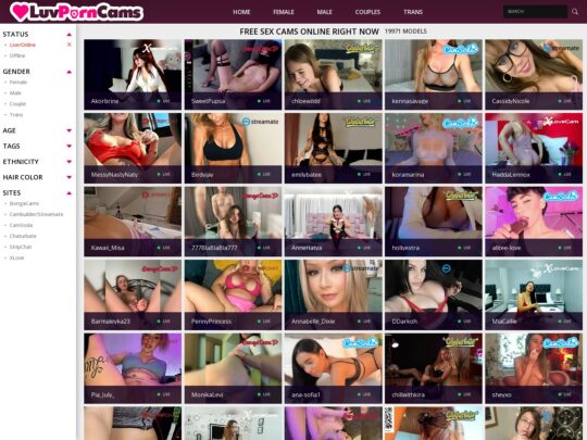 LuvPornCams review, a site that is one of many popular Live Cam Sites