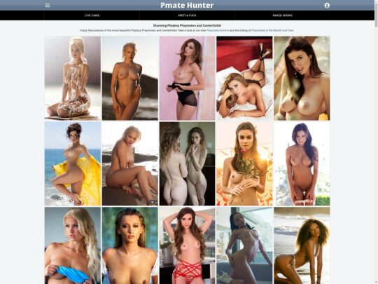 PMate Hunter review, a site that is one of many popular Porn Picture Sites