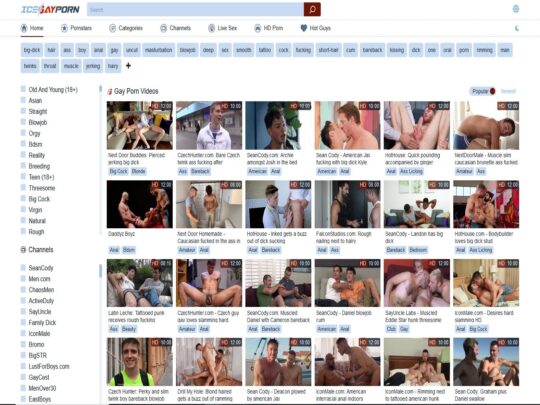 Revue d'IceGayPorn.com, un site qui est l'un des nombreux sites porno gay populaires