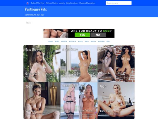 Revizuirea Penthouse Pets, un site care este unul dintre multele site-uri porno de top Softcore populare
