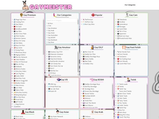 많은 인기 포르노 디렉토리 중 하나인 Gaymeister 리뷰 사이트
