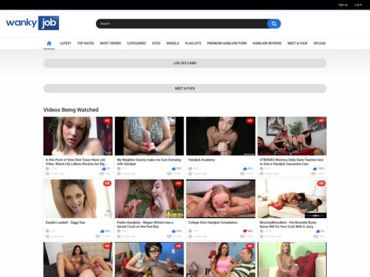 Wankyjob Review, eine Seite, die eine von vielen beliebten kostenlosen Handjob-Pornoseiten ist