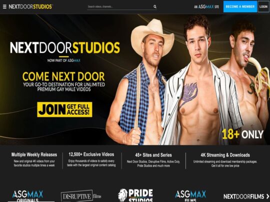 Next Door Studios review, a site that is one of many popular Gay Porn Sites