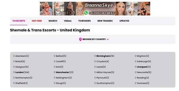 Discover a unique world of trans escorts when you are in the UK. A huge number of them to choose from to satisfy your needs.