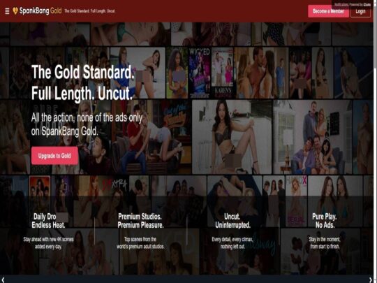 סקירת Spankbang Gold, אתר שהוא אחד מאתרי הפורנו הפרימיום הפופולריים הרבים