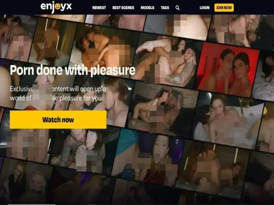 EnjoyX review, sivusto, joka on yksi monista suosituista Top Premium -pornosivustoista
